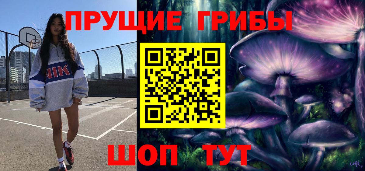 Галлюциногенные грибы Psilocybe  Вход с VPN  Великий Устюг 