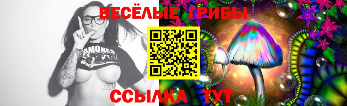 Галлюциногенные грибы GOLDEN TEACHER Великий Устюг